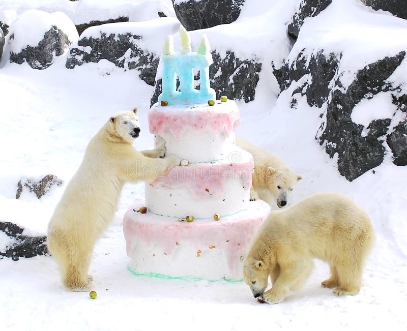 Gateau D Anniversaire Geant D Ours Blancs Image Stock Image Du Jaune Froid Gateau D Anniversaire Geant D Ours Blancs Image Stock Image Du Jaune Froid