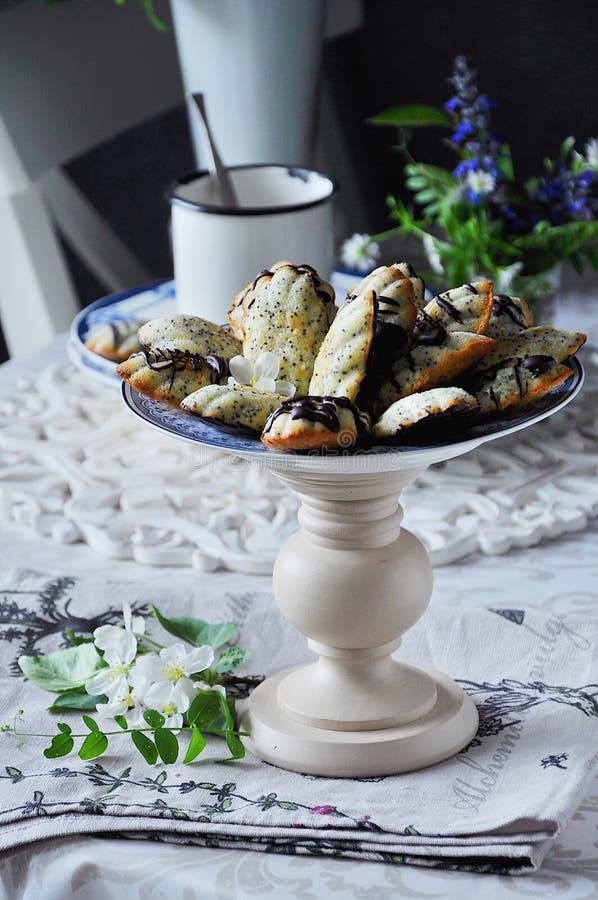 7 Biscuit Madeleine Image Stock Image Du Panneau Dessert 7 Biscuit Madeleine Image Stock Image Du Panneau Dessert