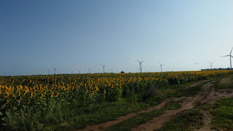 G?n?rateurs de vent dans le domaine photographie stock G?n?rateurs de vent dans le domaine photographie stock