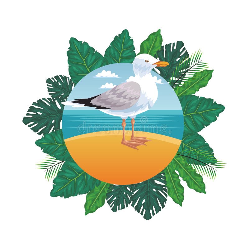 Immagini Di Spiaggia Stilizzata Gabbiano - Download Gratui Su Freepik - Foto 5