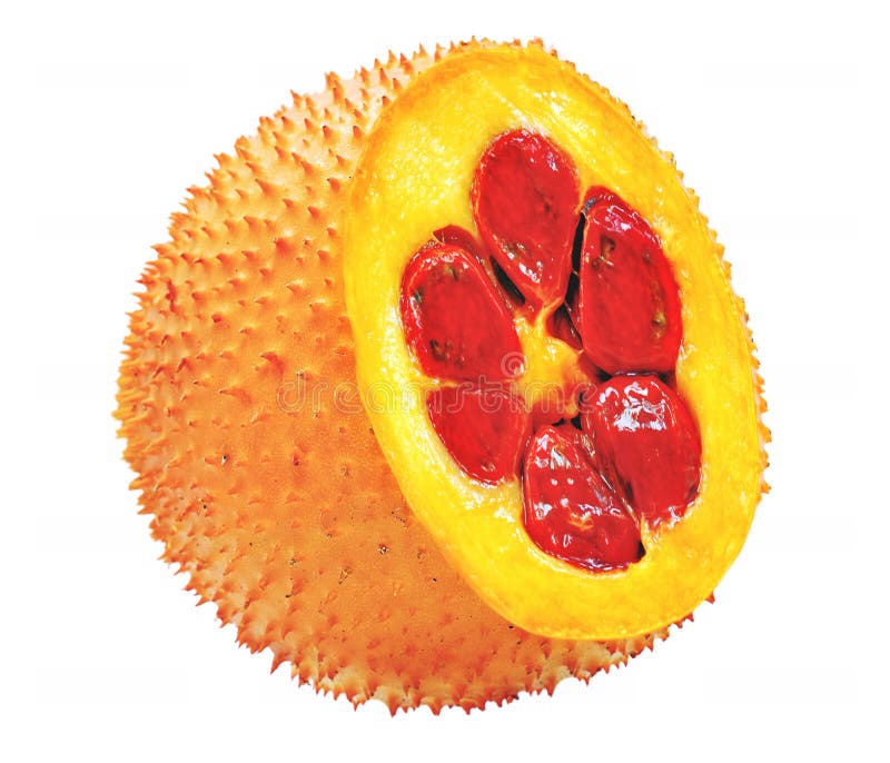 Baby Jackfruit Momordica Cochinchinensis Oder Gac Frucht Ist Sehr Stockfoto Bild Von Nahrung Frische