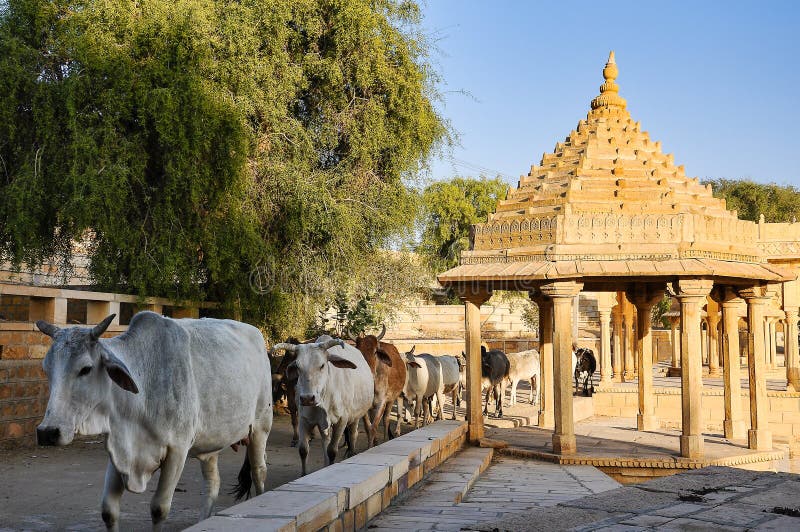 Gadi Sagar, Gadsisar Lake Jaisalmer, Ρατζαστάν, Βόρεια Ινδία στοκ φωτογραφίες με δικαίωμα ελεύθερης χρήσης Gadi Sagar, Gadsisar Lake Jaisalmer, Ρατζαστάν, Βόρεια Ινδία στοκ φωτογραφίες με δικαίωμα ελεύθερης χρήσης