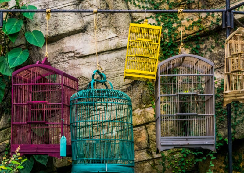 Gaiolas de aves vazias penduradas num bar, comércio de animais de estimação na Ásia, antecedentes de loja de animais