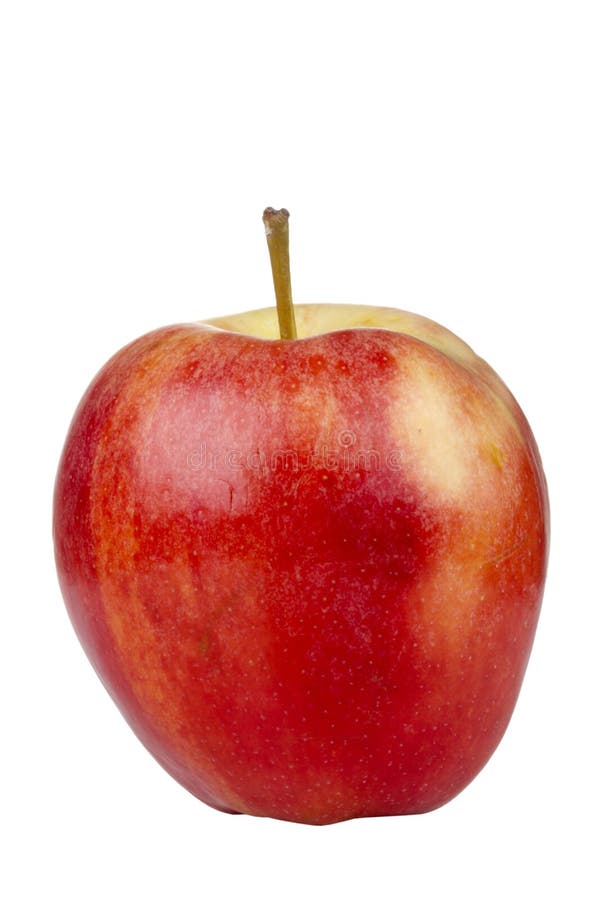 Gala Apple stock photo Gala Apple stock photo