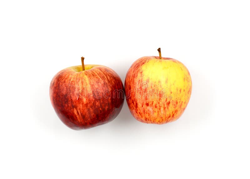Gala Apple stock photo. Image of healthy, object, lesson 58657774