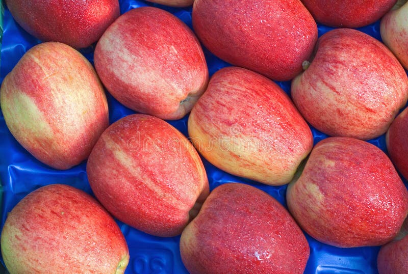Gala Apples in MArket stock image. Image of ripe, autumn 5918373