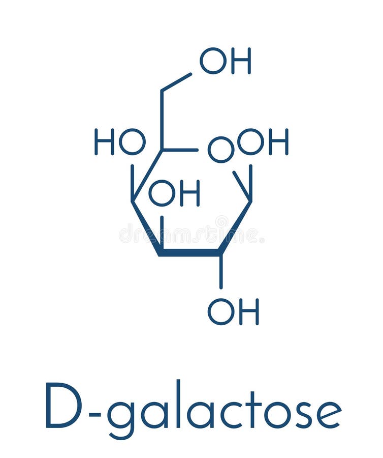 Galactose Sugar Molecule. Present in Milk and Dairy Products. Skeletal