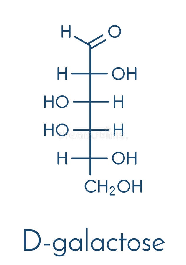 Galactose, Dgalactose, Milk Sugar Molecule. Linear Form. Structural