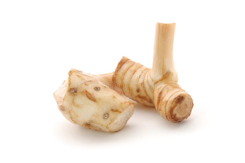 Galangal Blue Ginger Stock Photo Image Of Food Roots 1974