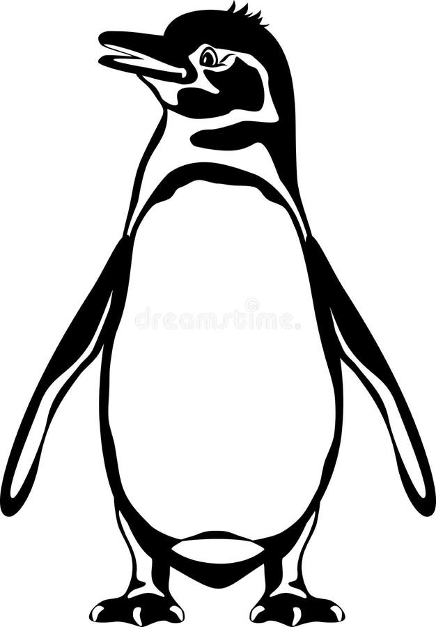 Galapagos penguin. Black and white outline