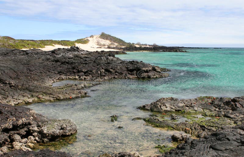 Galapagos Shoreline