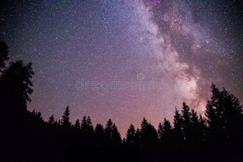 Galax för klart mjölkaktig väg på den mörka natten, kontur av träd royaltyfria bilder