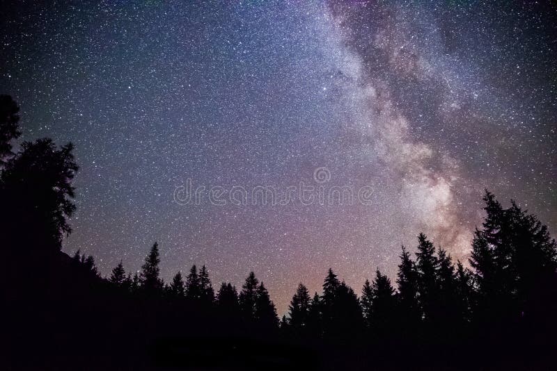 Galax för klart mjölkaktig väg på den mörka natten, kontur av träd arkivbilder