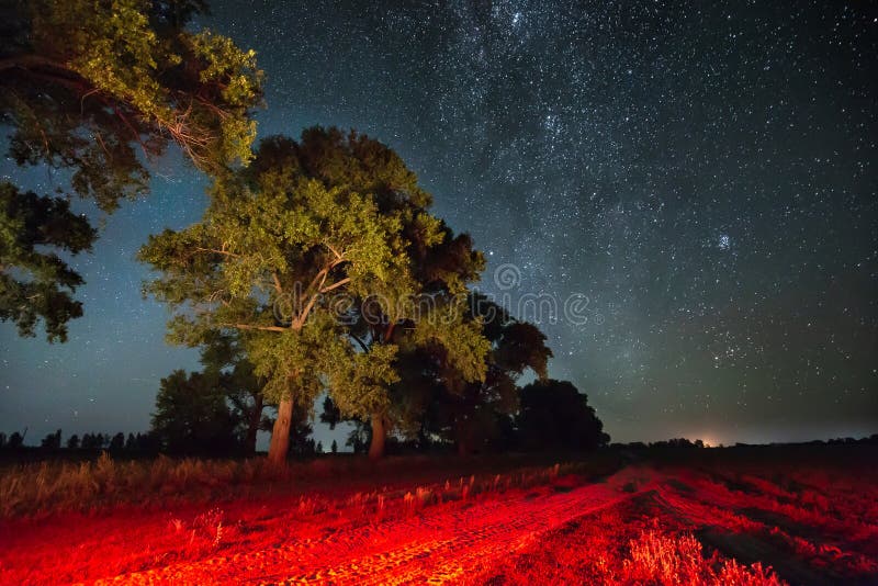 Galaxia de la vía láctea en cielo estrellado de la noche sobre árbol en bosque del verano imagen de archivo Galaxia de la vía láctea en cielo estrellado de la noche sobre árbol en bosque del verano imagen de archivo