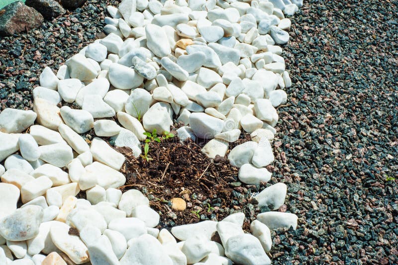 Galets blancs Petites pierres blanches de jardin Pierres