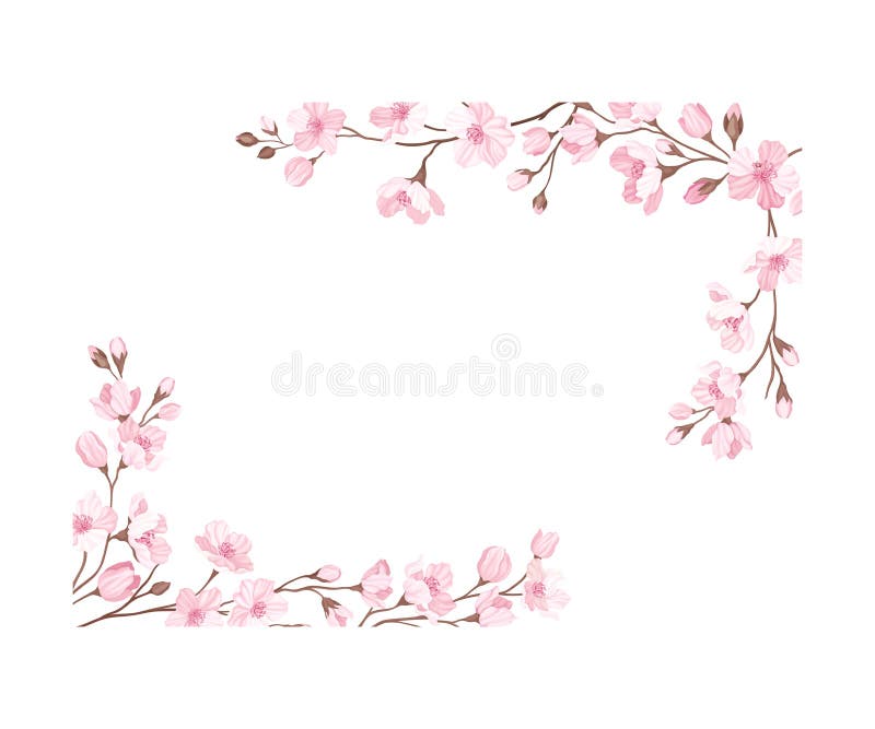 Peão Japonês Rosa Isolado Em Fundo Branco. Lindo Flor Florescente Com Caule  E Folhas. Florescente Oriental Ilustração do Vetor - Ilustração de haste,  encantador: 200860641