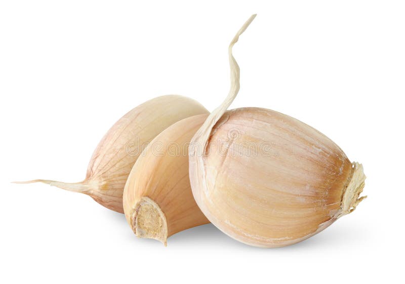 Isolated garlic cloves royalty free stock photos Isolated garlic cloves royalty free stock photos