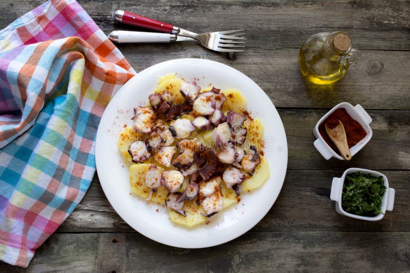 Galician octopus stock photography