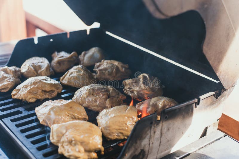 galinha grelhada em um piquenique O homem colocou a galinha na marinada na grade para sua preparação Grandes carcaças inteiras de fotos de stock galinha grelhada em um piquenique O homem colocou a galinha na marinada na grade para sua preparação Grandes carcaças inteiras de fotos de stock