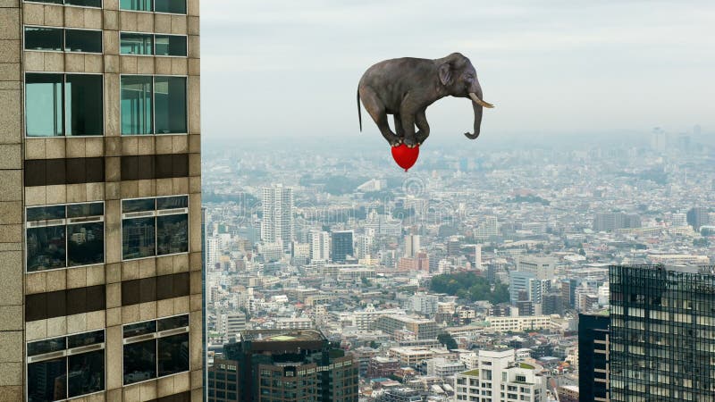 Galleggiamento divertente, elefante volante, pallone rosso stock footage Galleggiamento divertente, elefante volante, pallone rosso stock footage