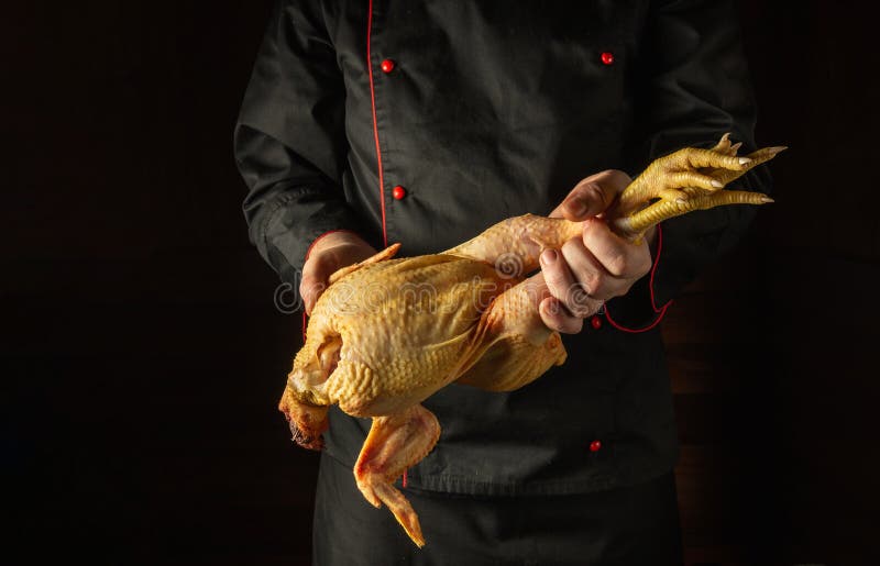 Gallo Fresco Crudo En La Mano De Un Cocinero En La Cocina De Un  Restaurante. Elegir Un Gallo Antes De Preparar Un Plato De Carne. Imagen de  archivo - Imagen de plato