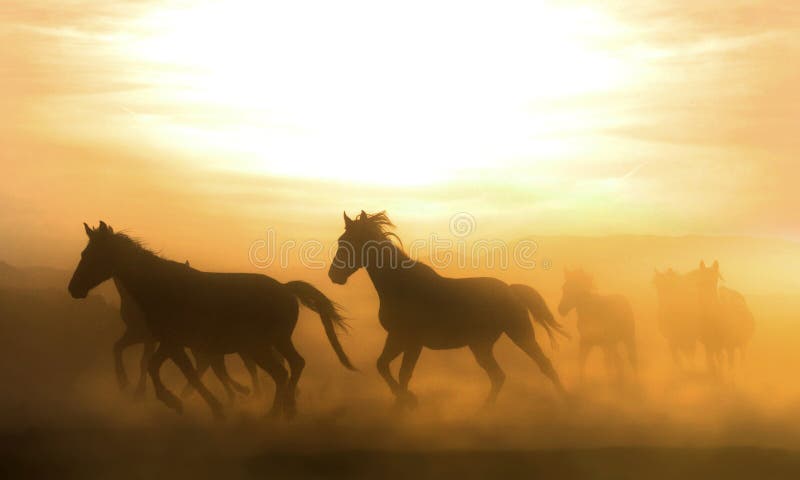 Dust cloud and running horsesn. Dust cloud and running horsesn