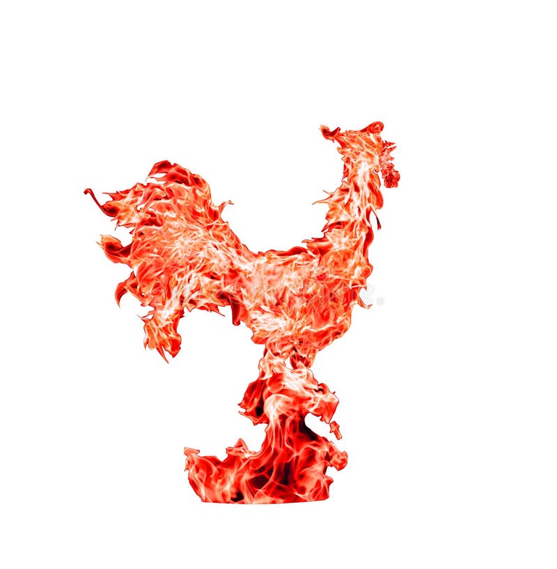 Galo do fogo vermelho, símbolo de 2017 anos novo Colagem da foto da chama vermelha, isolada no fundo branco foto de stock royalty free Galo do fogo vermelho, símbolo de 2017 anos novo Colagem da foto da chama vermelha, isolada no fundo branco foto de stock royalty free