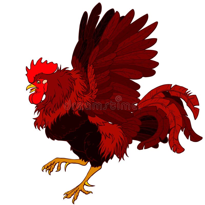 Vermelho Galo De Fogo. Ilustração Em Vetor Preto Vintage Royalty Free SVG,  Cliparts, Vetores, e Ilustrações Stock. Image 77406093