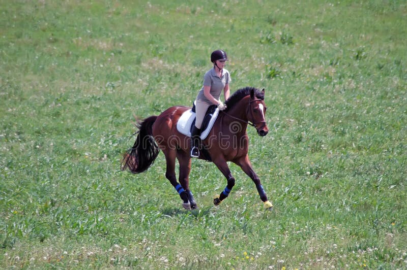 Frau reitet Pferd stockfotografie