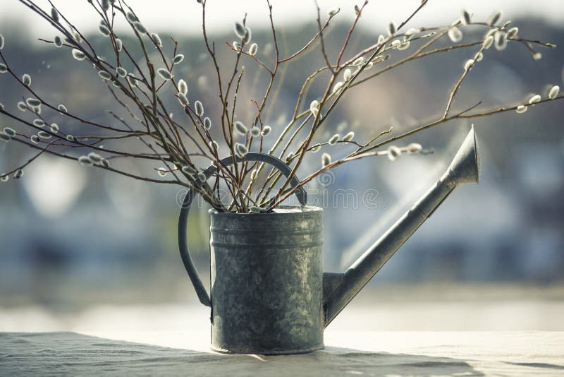 Willow watering system stock image. Image of lawn, soil 20245275