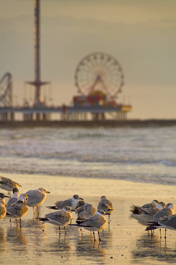 Sunrise in Galveston stock image. Image of galveston 38542401