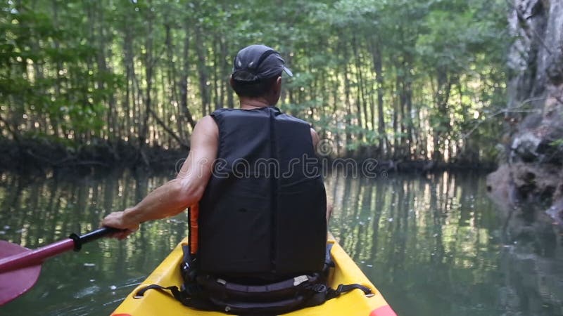 gamala mannen paddlar på kajaken i kanjon bland mangrovedjungel stock video gamala mannen paddlar på kajaken i kanjon bland mangrovedjungel stock video