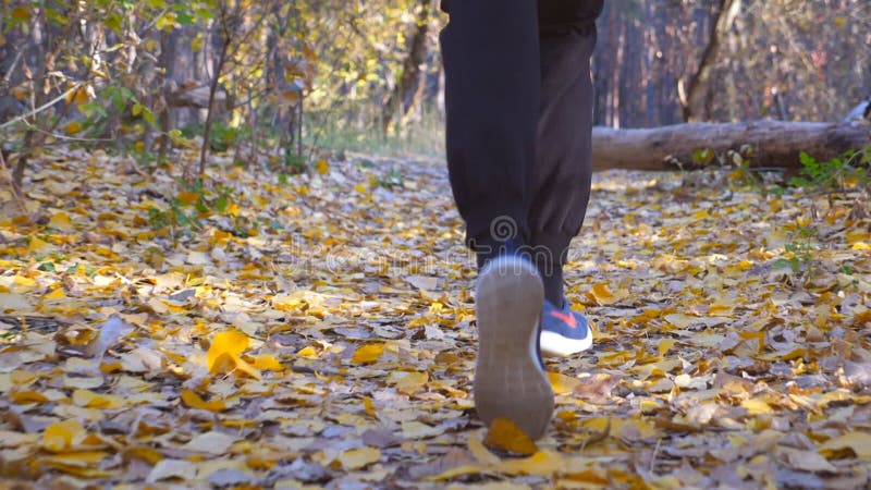 Gambe di uomo forte che corre lungo il sentiero forestale ricoperto di fogliame colorato. cespugli che saltano su foglie secche ca