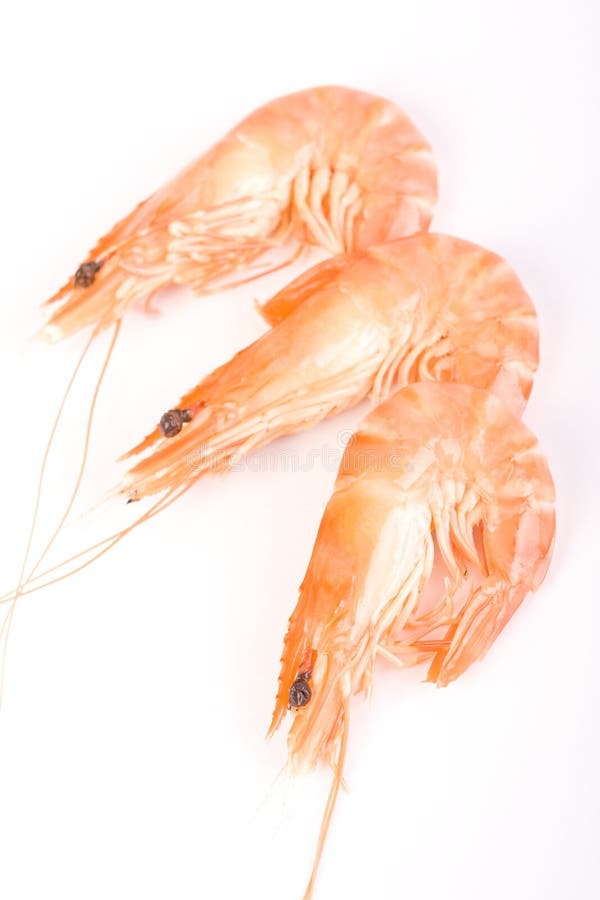 Gamberetti cucinati freschi immagine stock