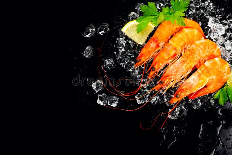 gamberi Gamberetti freschi su un fondo nero Frutti di mare su ghiaccio schiantato con le erbe Alimento sano, cucinante fotografia stock libera da diritti gamberi Gamberetti freschi su un fondo nero Frutti di mare su ghiaccio schiantato con le erbe Alimento sano, cucinante fotografia stock libera da diritti