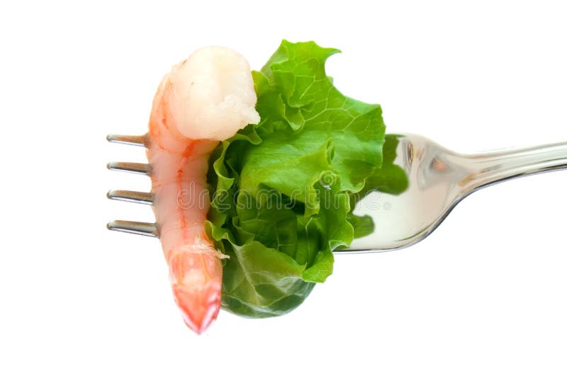Gambero immagini stock libere da diritti Gambero immagini stock libere da diritti
