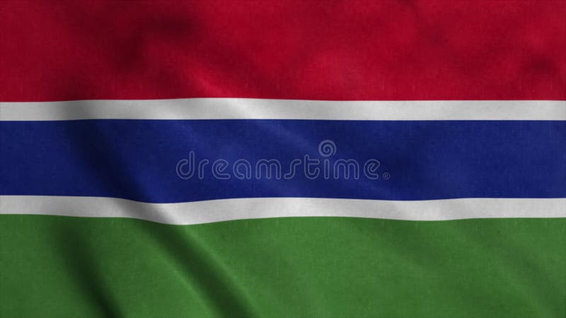 Gambia waving flag with cloth texture. 4K vector illustration