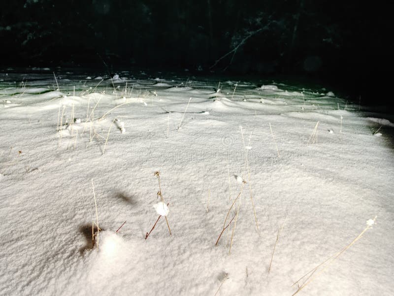 Gambo o ramoscelli sotto neve bagnata fresca Passeggiata di notte da parte a parte immagini stock libere da diritti Gambo o ramoscelli sotto neve bagnata fresca Passeggiata di notte da parte a parte immagini stock libere da diritti