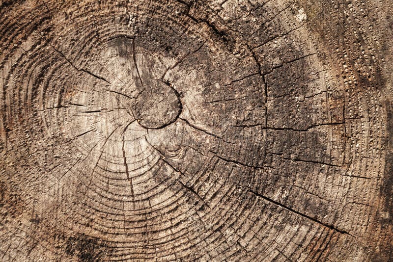 Gammal riden ut wood avsnittbakgrund royaltyfria foton Gammal riden ut wood avsnittbakgrund royaltyfria foton