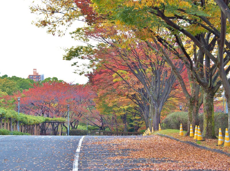 Gangmanier in de Herfst in Nagoya, Japan stock afbeelding Gangmanier in de Herfst in Nagoya, Japan stock afbeelding