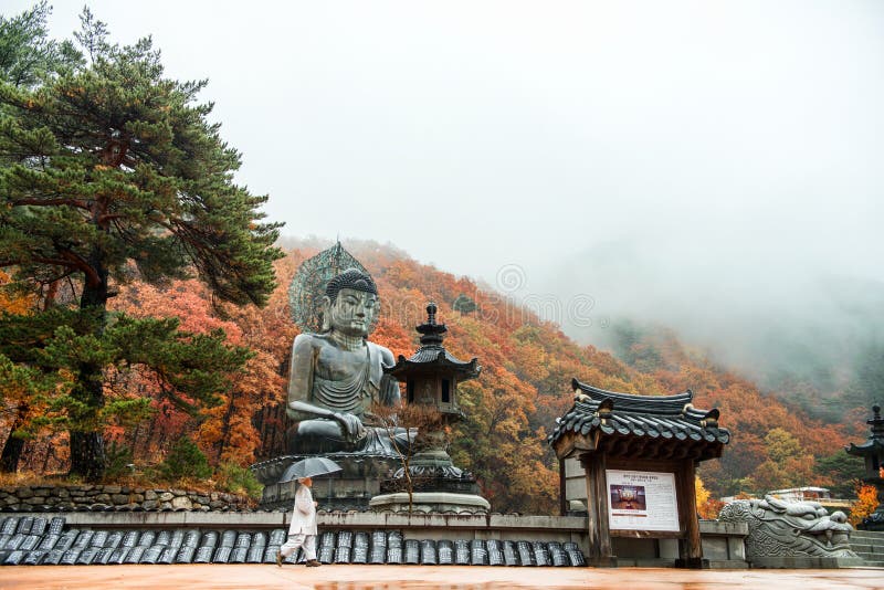 Gangwon-font, la Corée du Sud - 12 novembre 2015 grand monument de Bouddha de temple de Sinheungsa en parc national Sokcho, Kore image stock Gangwon-font, la Corée du Sud - 12 novembre 2015 grand monument de Bouddha de temple de Sinheungsa en parc national Sokcho, Kore image stock