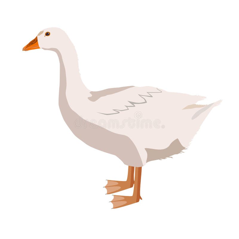  Gans stock illustratie
