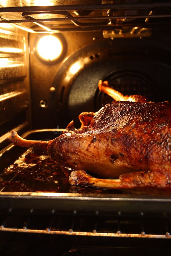 Vertical image of baked goose with goldish skin in oven. Vertical image of baked goose with goldish skin in oven