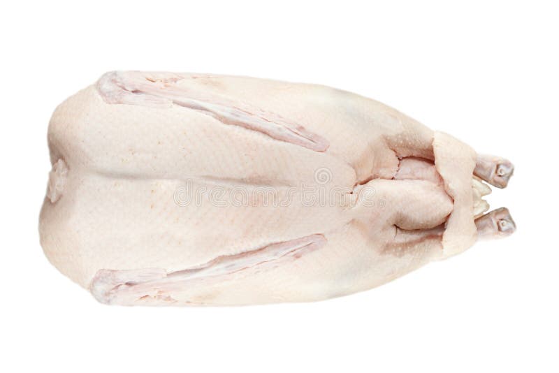 Raw goose isolated on white with clipping path. Raw goose isolated on white with clipping path.