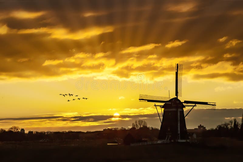Ganzen die tegen de zonsondergang op de Nederlandse windmolen vliegen stock afbeelding Ganzen die tegen de zonsondergang op de Nederlandse windmolen vliegen stock afbeelding