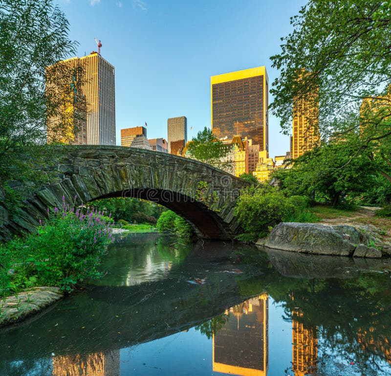 Gapstow Bridge in Central Park, Summer Early Morning Stock Image ...