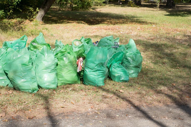 Plastic Trash Bag Caught Tree Stock Photo 1007497321