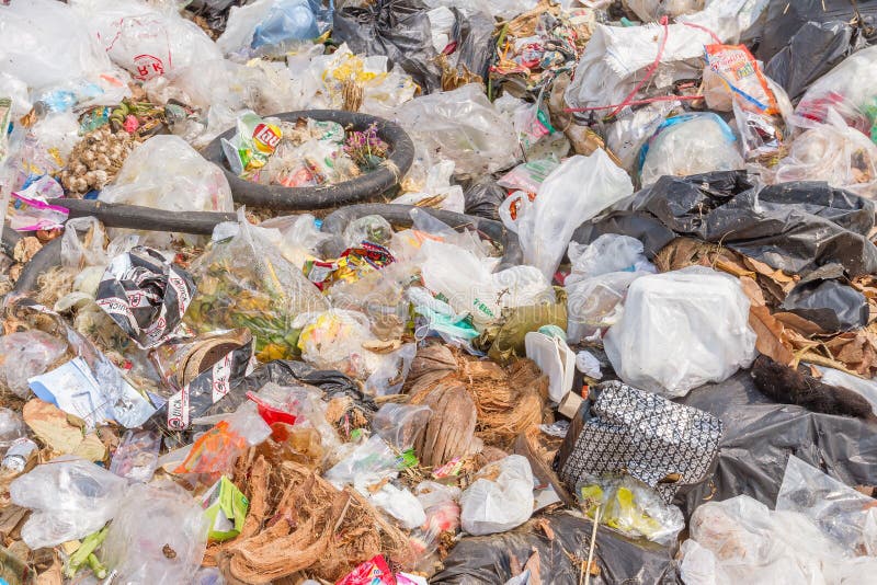 The Garbage Disposal Pond in Pai,Thailand Editorial Photography Image