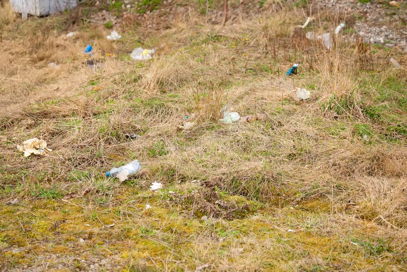 where to dump grass clippings where to dump grass clippings