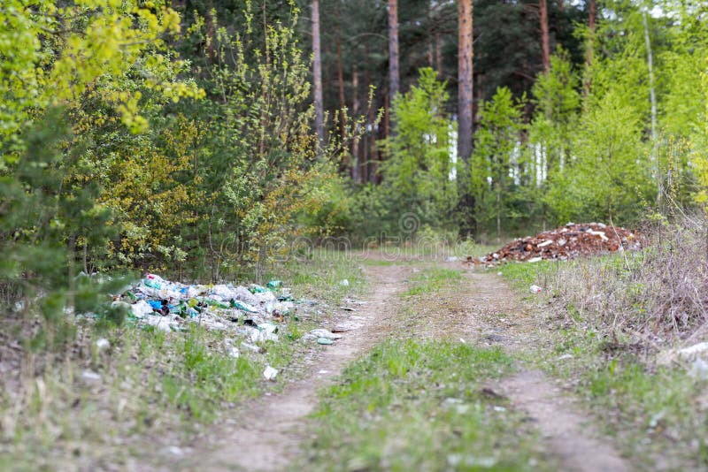 Garbage dump in the woods stock image. Image of cartons 92666831